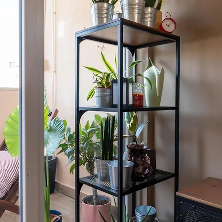 公寓 Vivalavida Center *